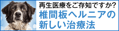 再生医療をご存知ですか？