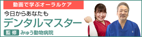 今日からあなたもデンタルマスター