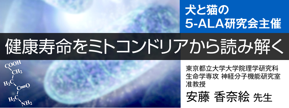 健康寿命をミトコンドリアから読み解く