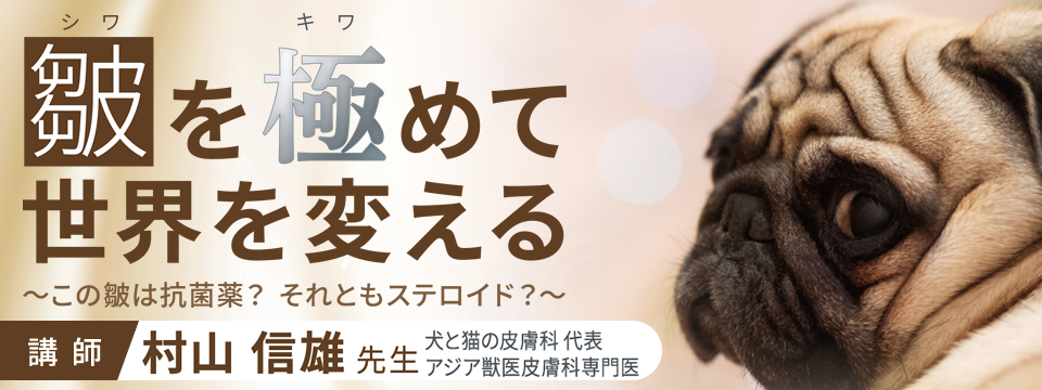 皺を極めて世界を変える