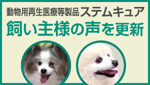 ステムキュア飼い主様の声