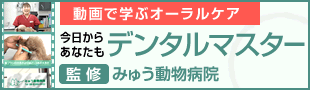 今日からあなたもデンタルマスター