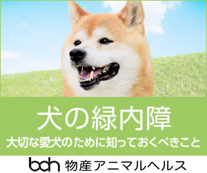 犬の緑内障