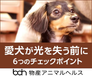 愛犬が光を失う前に