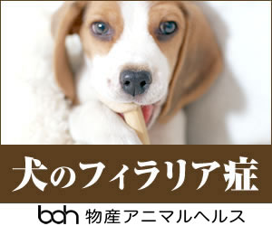 犬のフィラリア症