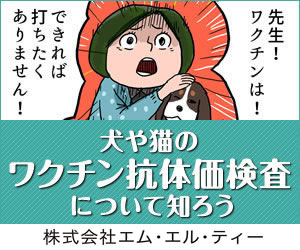 犬や猫のワクチン抗体価検査について知ろう