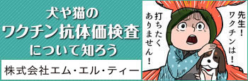 犬や猫のワクチン抗体価検査について知ろう