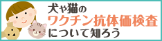 犬や猫のワクチン抗体価検査について知ろう