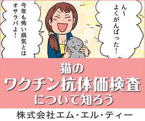 猫のワクチン抗体価検査について知ろう