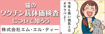 猫のワクチン抗体価検査について知ろう