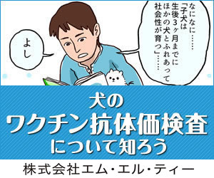 犬のワクチン抗体価検査について知ろう