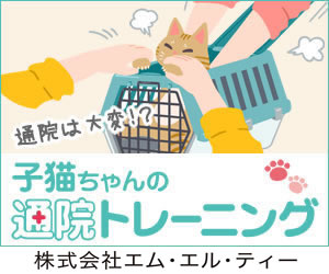 子猫ちゃんの通院トレーニング