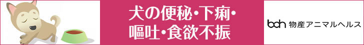 犬の便秘・下痢・嘔吐・食欲不振