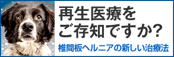 再生医療をご存知ですか？